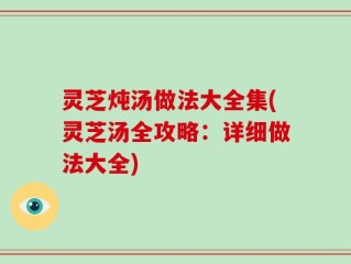 灵芝炖汤做法大全集(灵芝汤全攻略：详细做法大全)