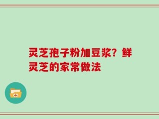灵芝孢子粉加豆浆？鲜灵芝的家常做法