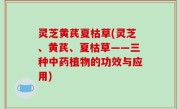 灵芝黄芪夏枯草(灵芝、黄芪、夏枯草——三种中药植物的功效与应用)