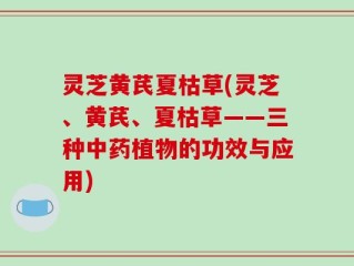 灵芝黄芪夏枯草(灵芝、黄芪、夏枯草——三种中药植物的功效与应用)