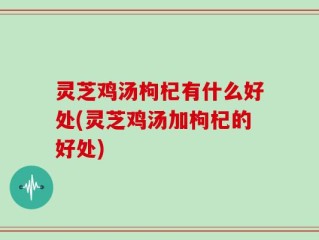 灵芝鸡汤枸杞有什么好处(灵芝鸡汤加枸杞的好处)