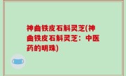 神曲铁皮石斛灵芝(神曲铁皮石斛灵芝：中医药的明珠)