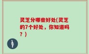 灵芝分哪些好处(灵芝的7个好处，你知道吗？)