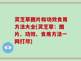 灵芝草图片和功效食用方法大全(灵芝草：图片、功效、食用方法一网打尽)