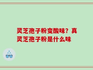灵芝孢子粉变酸味？真灵芝孢子粉是什么味