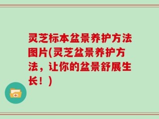 灵芝标本盆景养护方法图片(灵芝盆景养护方法，让你的盆景舒展生长！)