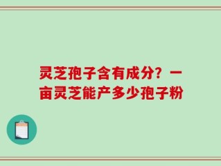 灵芝孢子含有成分？一亩灵芝能产多少孢子粉