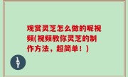 观赏灵芝怎么做的呢视频(视频教你灵芝的制作方法，超简单！)