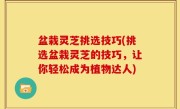 盆栽灵芝挑选技巧(挑选盆栽灵芝的技巧，让你轻松成为植物达人)