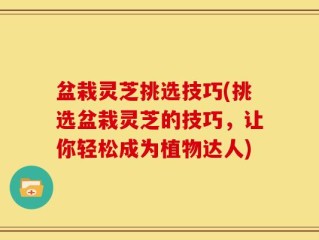 盆栽灵芝挑选技巧(挑选盆栽灵芝的技巧，让你轻松成为植物达人)
