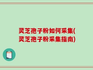 灵芝孢子粉如何采集(灵芝孢子粉采集指南)