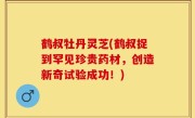 鹤叔牡丹灵芝(鹤叔捉到罕见珍贵药材，创造新奇试验成功！)
