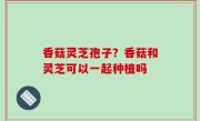 香菇灵芝孢子？香菇和灵芝可以一起种植吗
