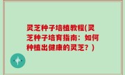 灵芝种子培植教程(灵芝种子培育指南：如何种植出健康的灵芝？)