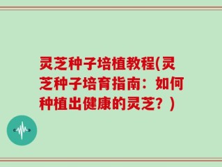 灵芝种子培植教程(灵芝种子培育指南：如何种植出健康的灵芝？)