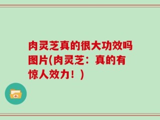 肉灵芝真的很大功效吗图片(肉灵芝：真的有惊人效力！)