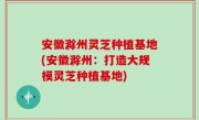 安徽滁州灵芝种植基地(安徽滁州：打造大规模灵芝种植基地)