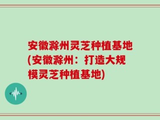安徽滁州灵芝种植基地(安徽滁州：打造大规模灵芝种植基地)