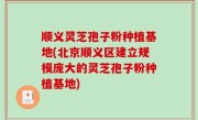 顺义灵芝孢子粉种植基地(北京顺义区建立规模庞大的灵芝孢子粉种植基地)