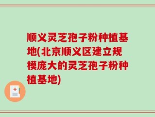 顺义灵芝孢子粉种植基地(北京顺义区建立规模庞大的灵芝孢子粉种植基地)