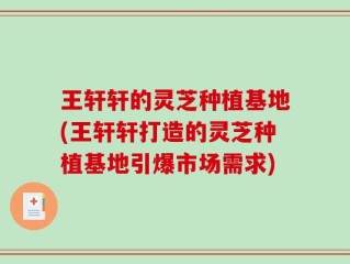 王轩轩的灵芝种植基地(王轩轩打造的灵芝种植基地引爆市场需求)