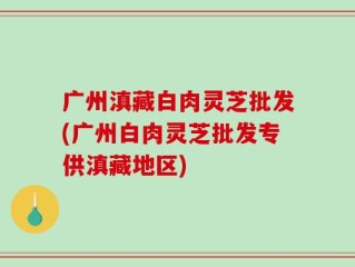 广州滇藏白肉灵芝批发(广州白肉灵芝批发专供滇藏地区)