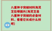 八重神子突破材料海灵芝在哪图片(海灵芝是八重神子突破的必备材料，看看它长成什么样吧)