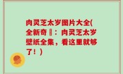 肉灵芝太岁图片大全(全新奇犇：肉灵芝太岁壁纸全集，看这里就够了！)
