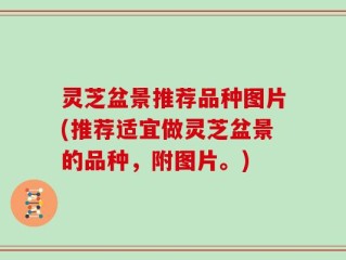 灵芝盆景推荐品种图片(推荐适宜做灵芝盆景的品种，附图片。)