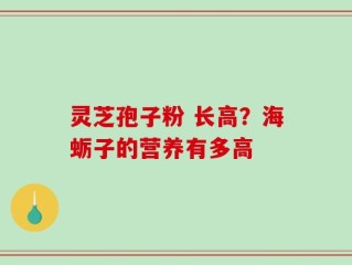 灵芝孢子粉 长高？海蛎子的营养有多高