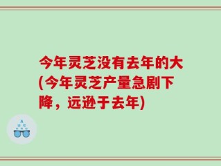 今年灵芝没有去年的大(今年灵芝产量急剧下降，远逊于去年)