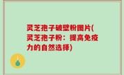 灵芝孢子破壁粉图片(灵芝孢子粉：提高免疫力的自然选择)