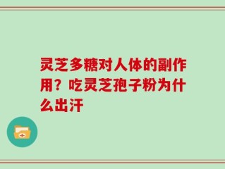 灵芝多糖对人体的副作用？吃灵芝孢子粉为什么出汗