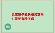灵芝孢子能长成灵芝吗？灵芝有种子吗
