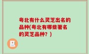 粤北有什么灵芝出名的品种(粤北有哪些著名的灵芝品种？)