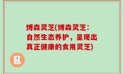 博森灵芝(博森灵芝：自然生态养护，呈现出真正健康的食用灵芝)