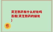 灵芝熬药有什么好处吗百度(灵芝熬药的益处)