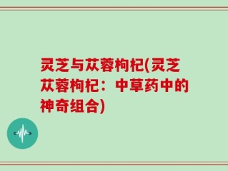 灵芝与苁蓉枸杞(灵芝苁蓉枸杞：中草药中的神奇组合)
