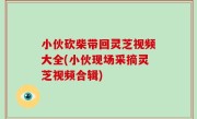 小伙砍柴带回灵芝视频大全(小伙现场采摘灵芝视频合辑)