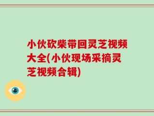 小伙砍柴带回灵芝视频大全(小伙现场采摘灵芝视频合辑)