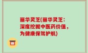 丽华灵芝(丽华灵芝：深度挖掘中医药价值，为健康保驾护航)