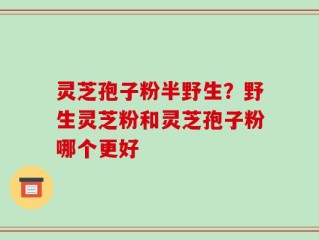 灵芝孢子粉半野生？野生灵芝粉和灵芝孢子粉哪个更好