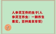 人参灵芝养的虫子(人参灵芝养虫：一颗养生果实，百种美食享受)
