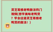 灵芝葛根老鸭做法窍门视频(想学美味老鸭煲？学会这道灵芝葛根老鸭煲的做法！)