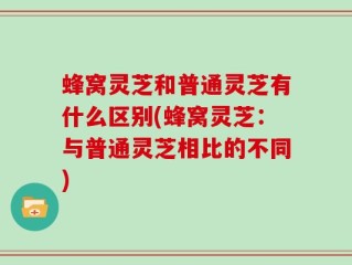 蜂窝灵芝和普通灵芝有什么区别(蜂窝灵芝：与普通灵芝相比的不同)