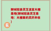 聊城冠县灵芝温室大棚基地(聊城冠县灵芝基地：大棚里的灵药丰收)