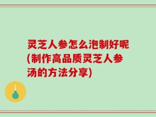 灵芝人参怎么泡制好呢(制作高品质灵芝人参汤的方法分享)
