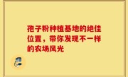 孢子粉种植基地的绝佳位置，带你发现不一样的农场风光