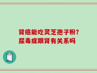 肾癌能吃灵芝孢子粉？尿毒症跟肾有关系吗