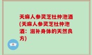 天麻人参灵芝杜仲泡酒(天麻人参灵芝杜仲泡酒：滋补身体的天然良方)